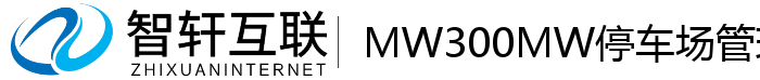 MW300MW停车场管理系统